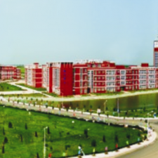 55eebc848484a_r_225x225