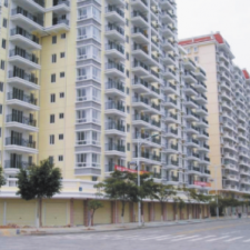 55eebc9206a5a_r_225x225